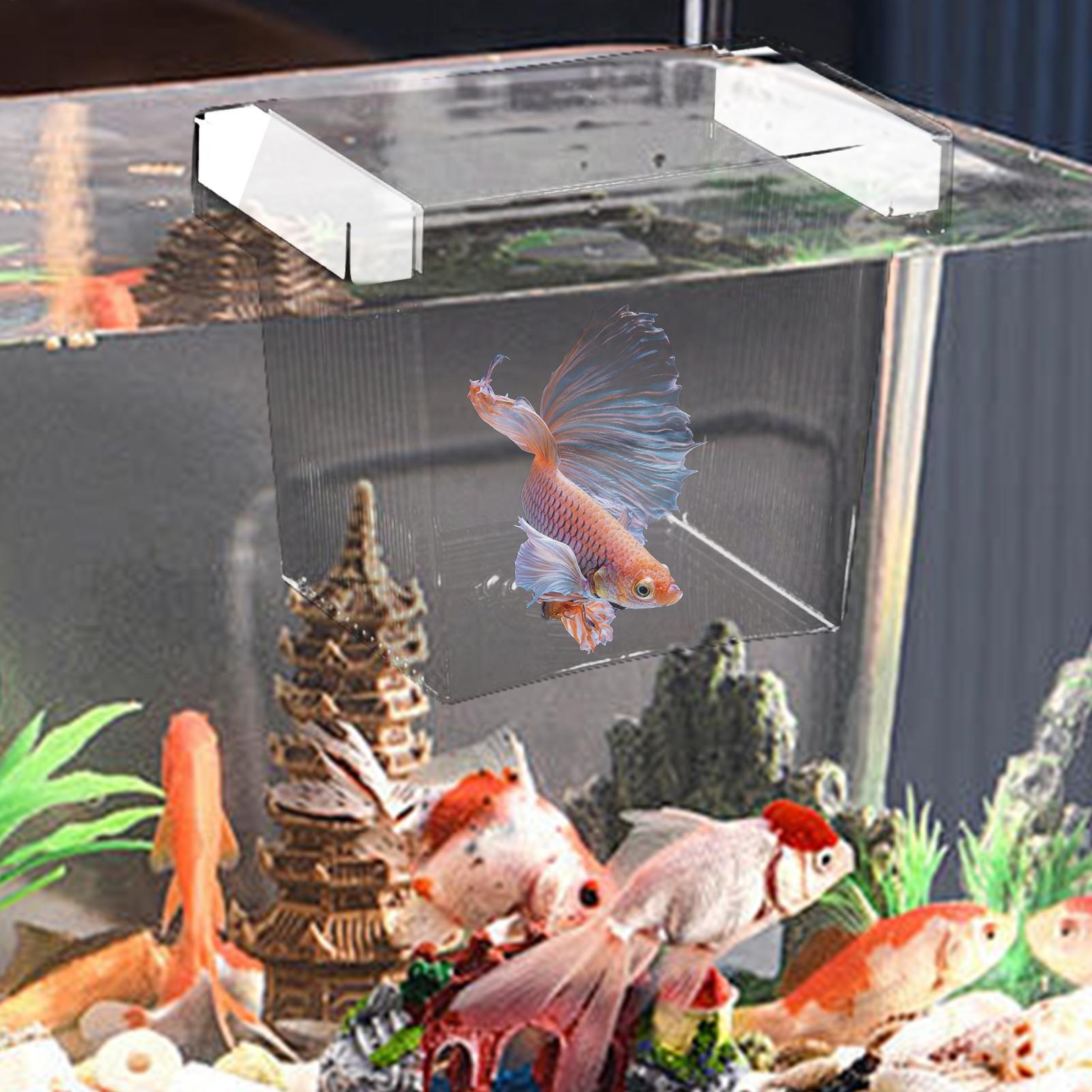 Floating Fish Breeding Isolati - Aquarium Fish Betta 评论和价格