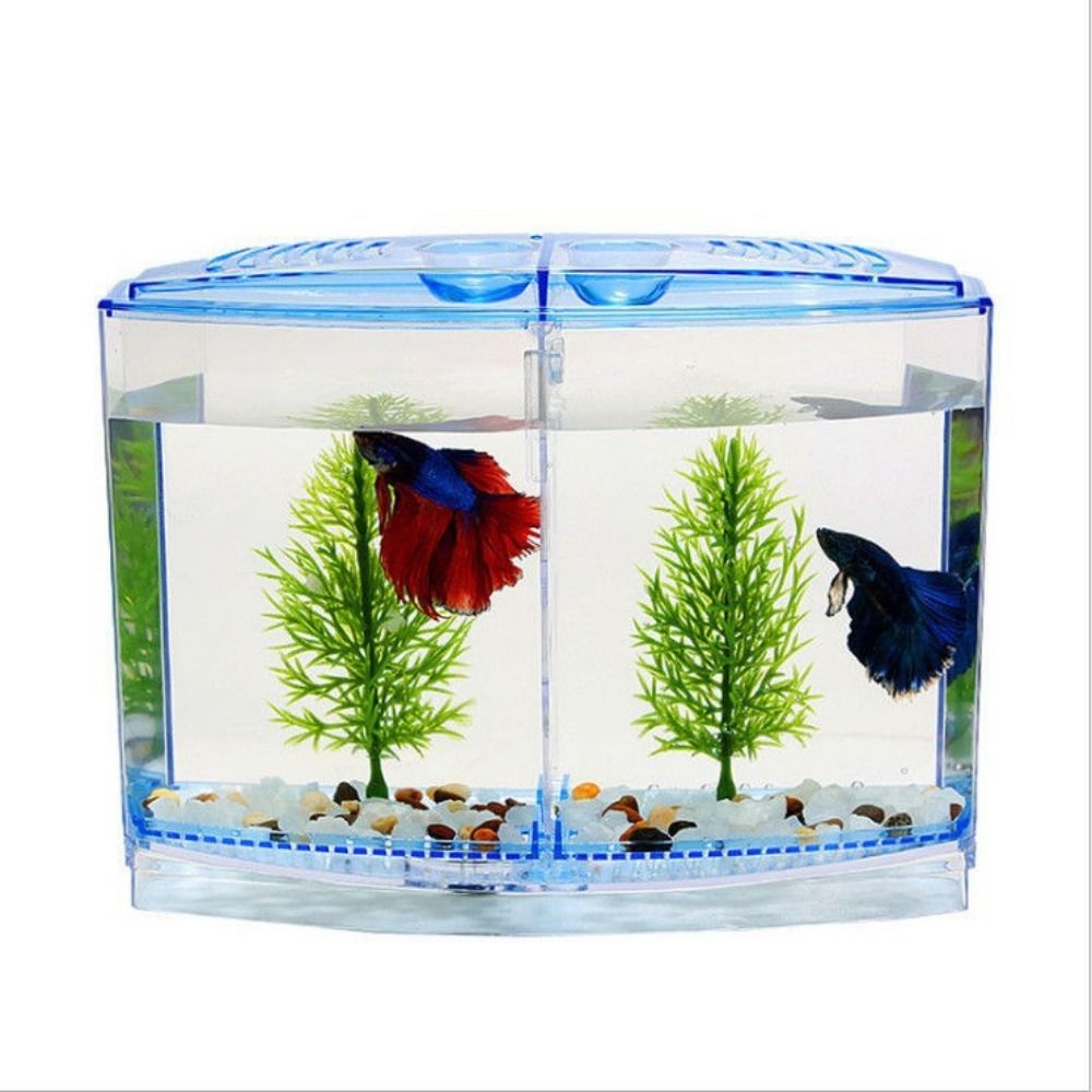 Transparent Betta Fish Tank, D - Betta Fish Tank 评论和价格