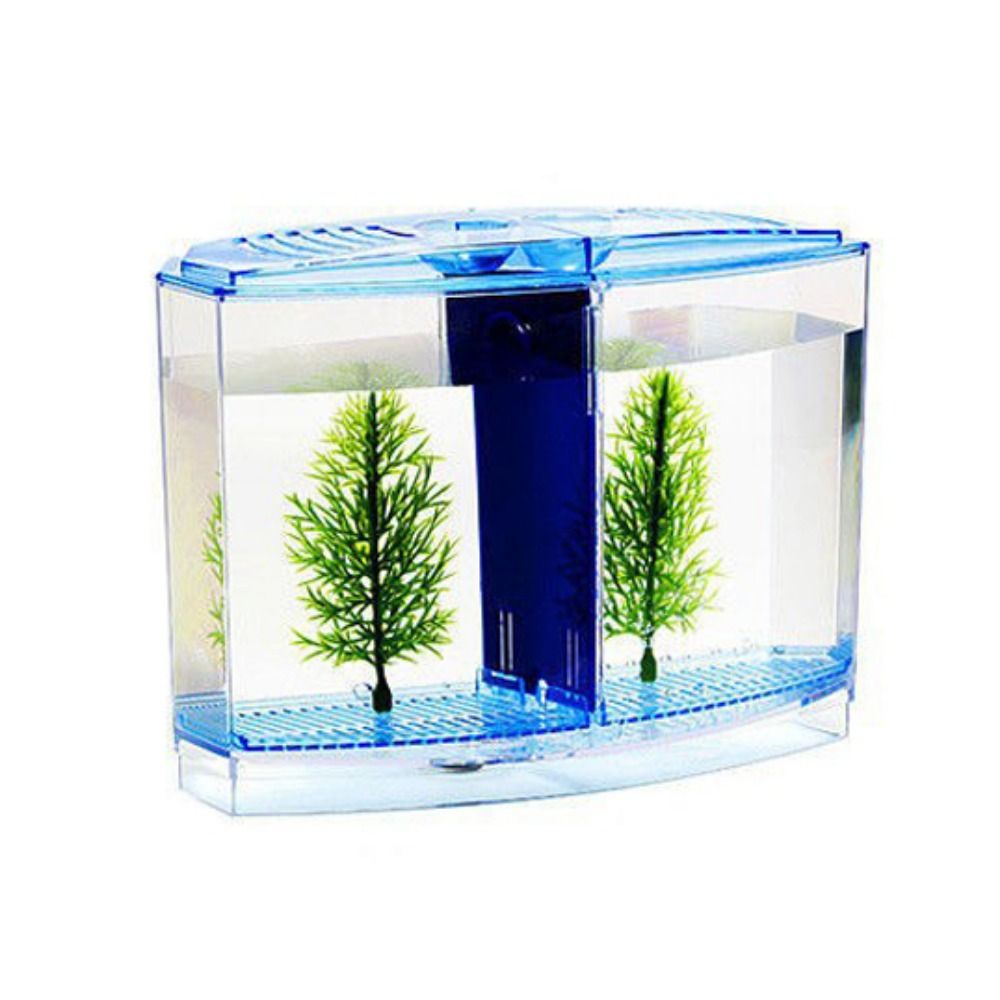 Transparent Betta Fish Tank, D - Betta Fish Tank 评论和价格