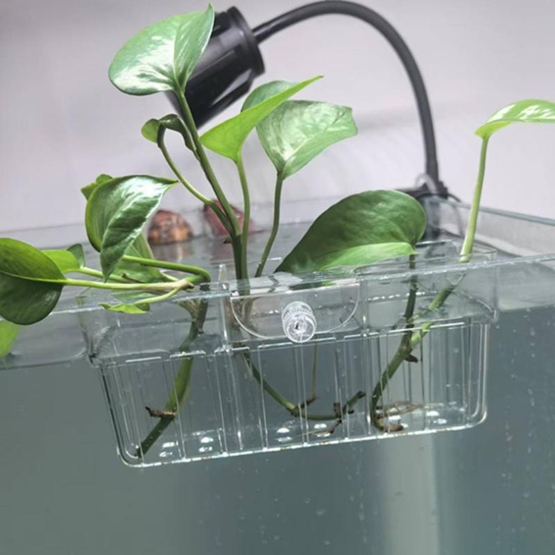 Hydroponic Plant Basket Food G - Aquarium Decor 评论和价格