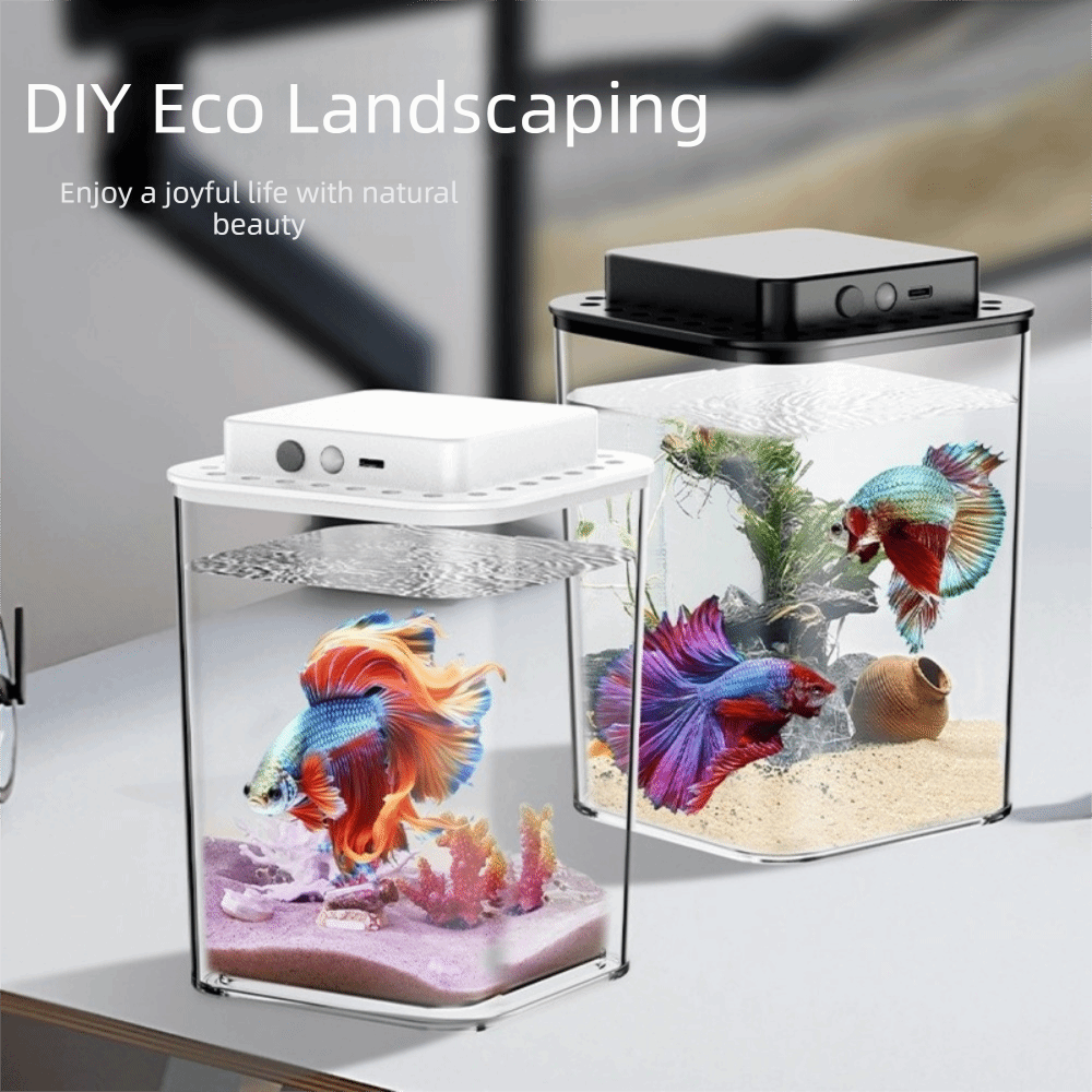 Transparent Betta Fish Tank In - Aquarium Fish Betta 评论和价格